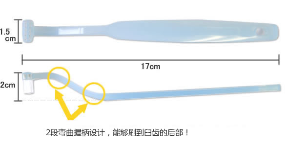 可够到臼齿后部的三个特长！