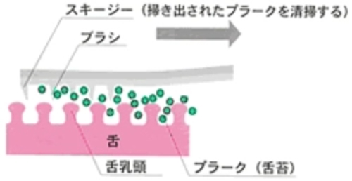 タンクリーナーの使い方