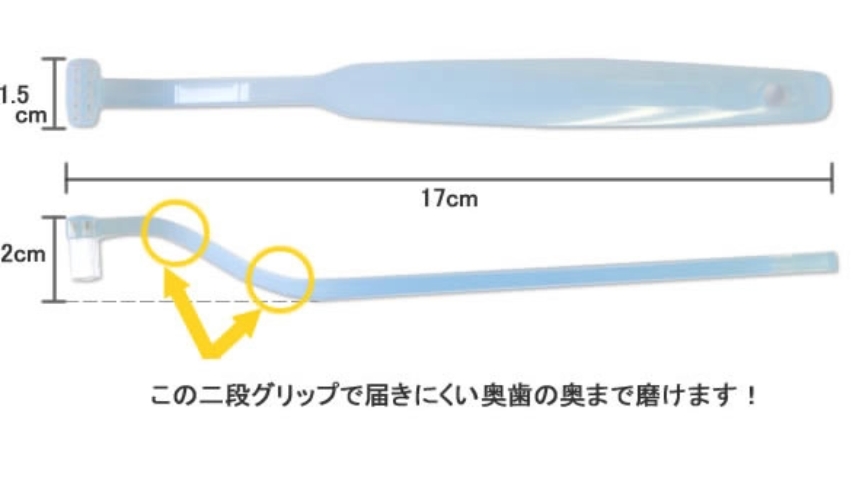 奥歯の裏側まで届く　３つのポイント！