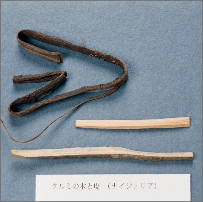 くるみの木と皮