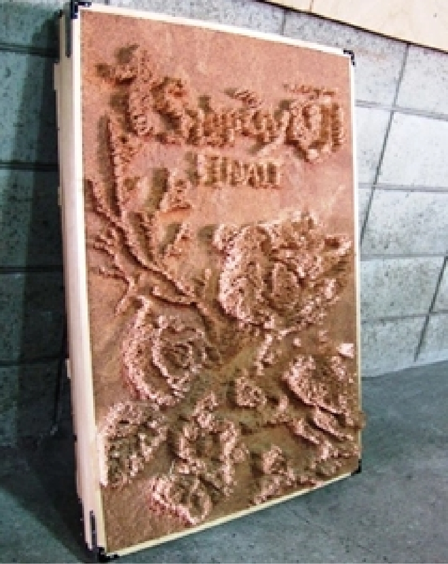 兵庫県:宝塚造形芸術大学(2006年4月11日寄贈)